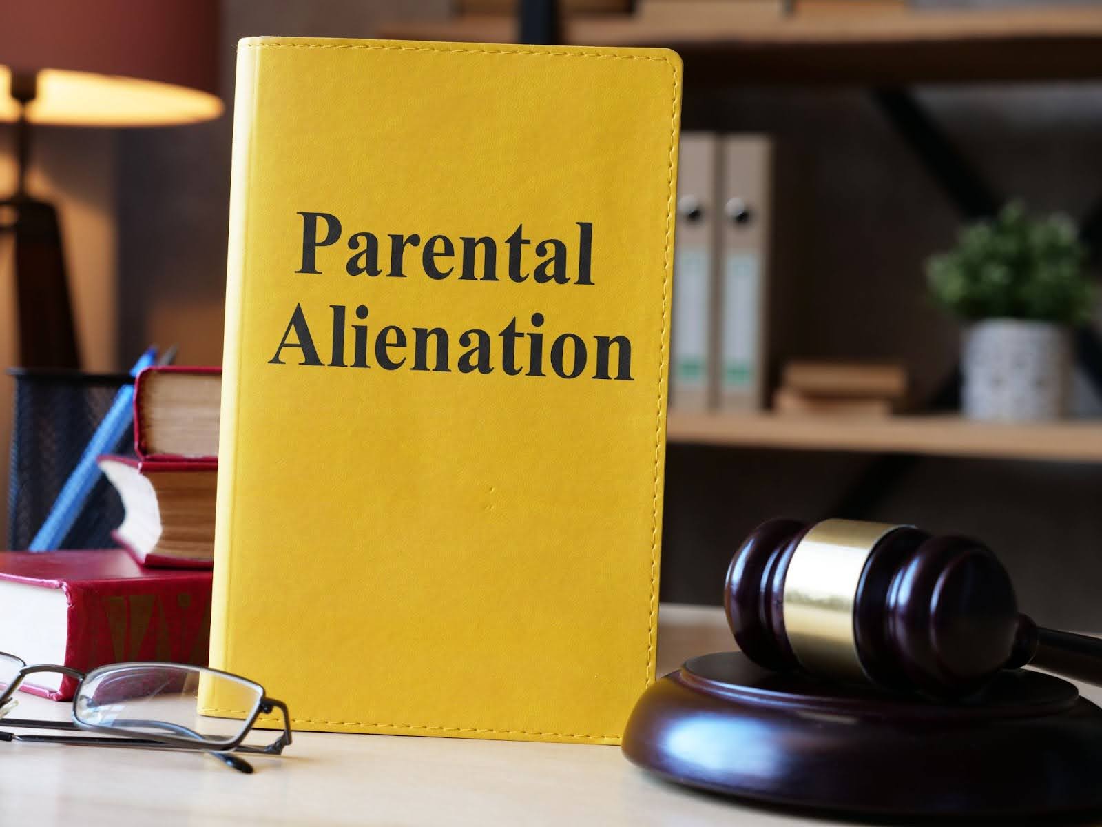 A parental alienation book sitting on a judge’s desk. | New Direction Family Law
