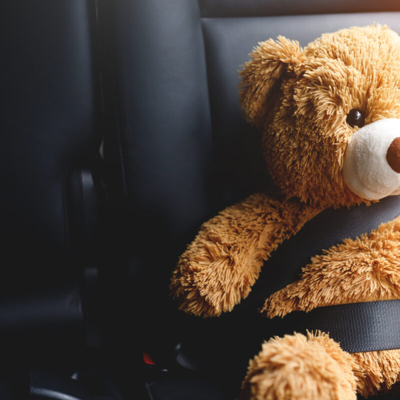 Child's teddy bear sitting in car with seatbelt.